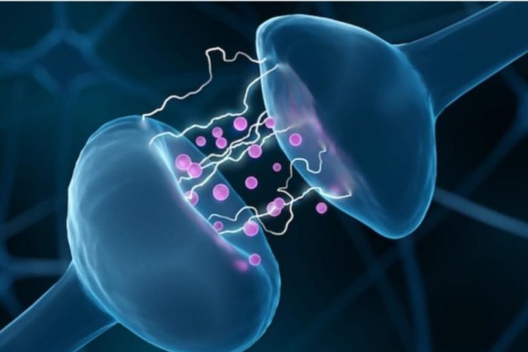 Innovation in the treatment and prevention of headaches, insomnia, neurotransmitter disorders